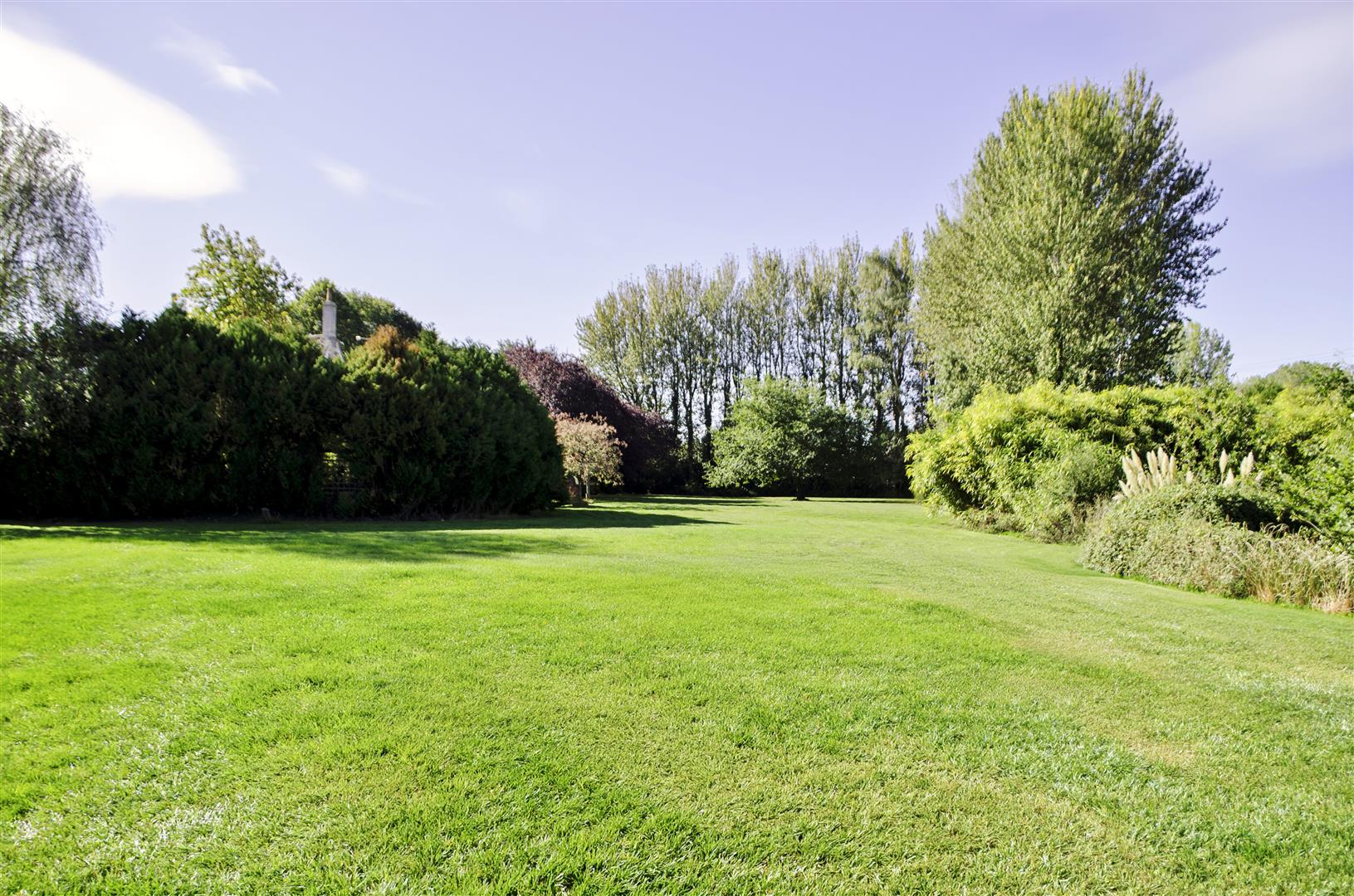 TFHlarge garden.jpg